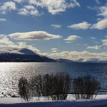 Moderne Hybel Naer Naturen - Gratis Parkering! Tromsø Extérieur photo